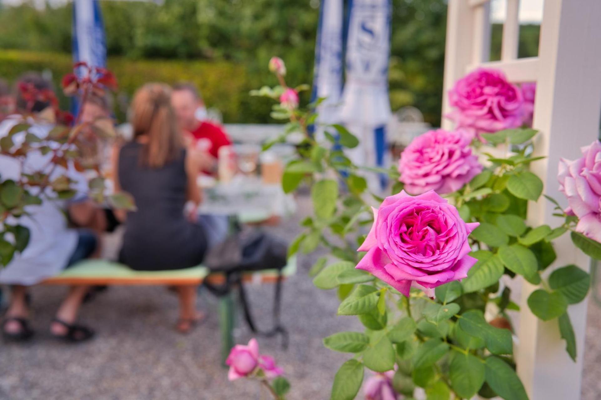 Gasthaus Zur Rose Aalen Zewnętrze zdjęcie